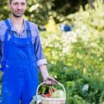 North Florida Vegetable Gardening Month-by-Month: A Comprehensive Guide for Year-Round Cultivation and Harvest