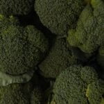 MIGARDENER High Density Vegetable Gardening Videos: Learn Efficient Gardening Techniques for Small Spaces