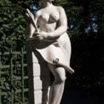 Vegetable gardening in North Central Florida: Tips, climate, and recommended vegetables for successful growth