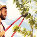 Vibrant Container Garden: Flowers and Vegetables