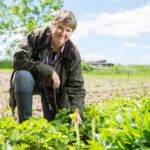 Essential Nutrients for Vegetable Gardens: Nourishment for Healthy and Vibrant Crops