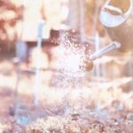 Safe Green Pressure Treated Wood for Veggie Gardens: Best Practices for Your Organic Garden Beds