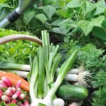 HERB AND VEGETABLE GARDENING BOOK: A comprehensive guide to growing herbs and veggies at home