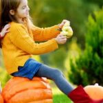 Expert Gardener Tomato and Vegetable Plant Food 4 lb: Organic nutrient blend for robust, healthy crops