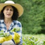 Vibrant Southeast Texas Vegetable Garden: A Guide