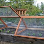 Zone 4B Vegetable Gardening: Growing Cold-Hardy Crops All Season Long