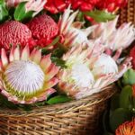 Fun vegetable gardening activities for preschoolers: planting, watering, and harvesting with adult supervision