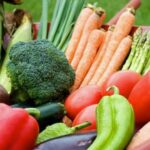 Top-rated fertilizers for thriving vegetable gardens: Best Fertilizers for Vegetable Gardens