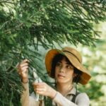 Vibrant Vegetable Gardening in Albuquerque