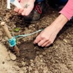 How to Make a Raised Bed for Vegetable Gardening How to make a raised bed for vegetable gardening: Step-by-step guide and tips