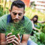 Explore Malaysian Vegetable Gardening Tips and Tricks on our Blog