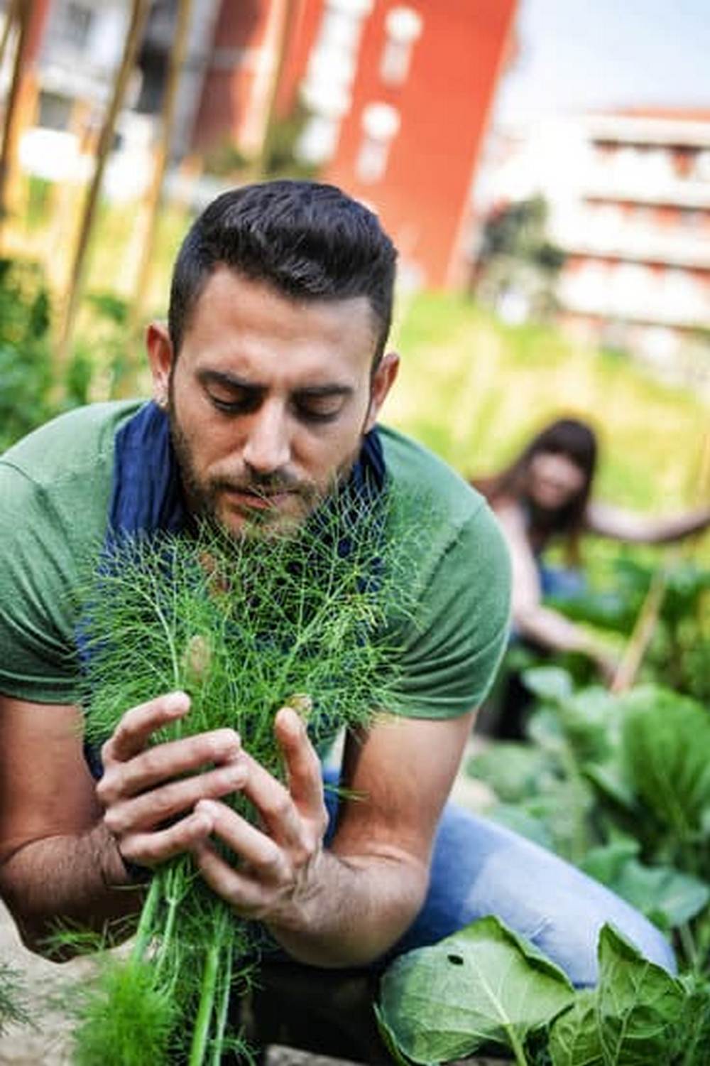 Explore Malaysian Vegetable Gardening Tips and Tricks on our Blog