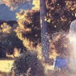 Georgia Vegetable Gardening Guide: Tips & Resources for Successful Harvests in the South