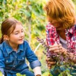 Vibrant urban vegetable gardens bursting with fresh produce and greenery in small city spaces