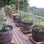 Small garden vegetable vertical solution - GrowVeg.com