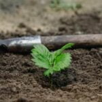 What Type of Netting to Use Over Gardening Vegetables Choosing the Right Netting for Gardening Vegetables: A Guide for Beginners