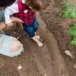 Explore top Canadian vegetable gardening magazines for expert tips and advice on cultivating a thriving garden