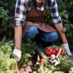 Milwaukee Vegetable Gardening: Spring Planting Schedule for Bountiful Harvests