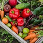 Thriving vegetable garden in the arid desert climate, demonstrating resilience and sustainable practices