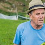 Japanese Vegetable Gardening Serene Japanese vegetable garden with traditional crops and meticulous cultivation