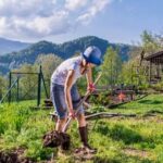 Variety of vegetable garden styles, including raised beds and container gardens, for every space