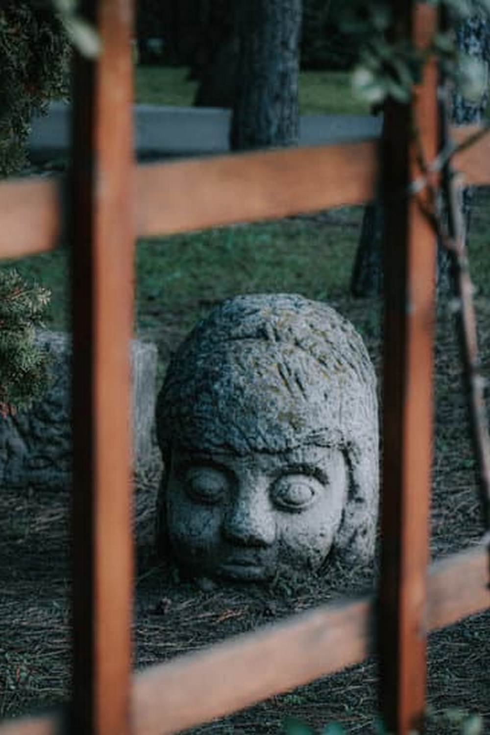 Pressure treated wood for vegetable gardens: durable, rot-resistant material for long-lasting raised beds and garden structures