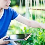 Lush organic vegetable garden, Southern California's sunny climate perfect for vegetable gardening