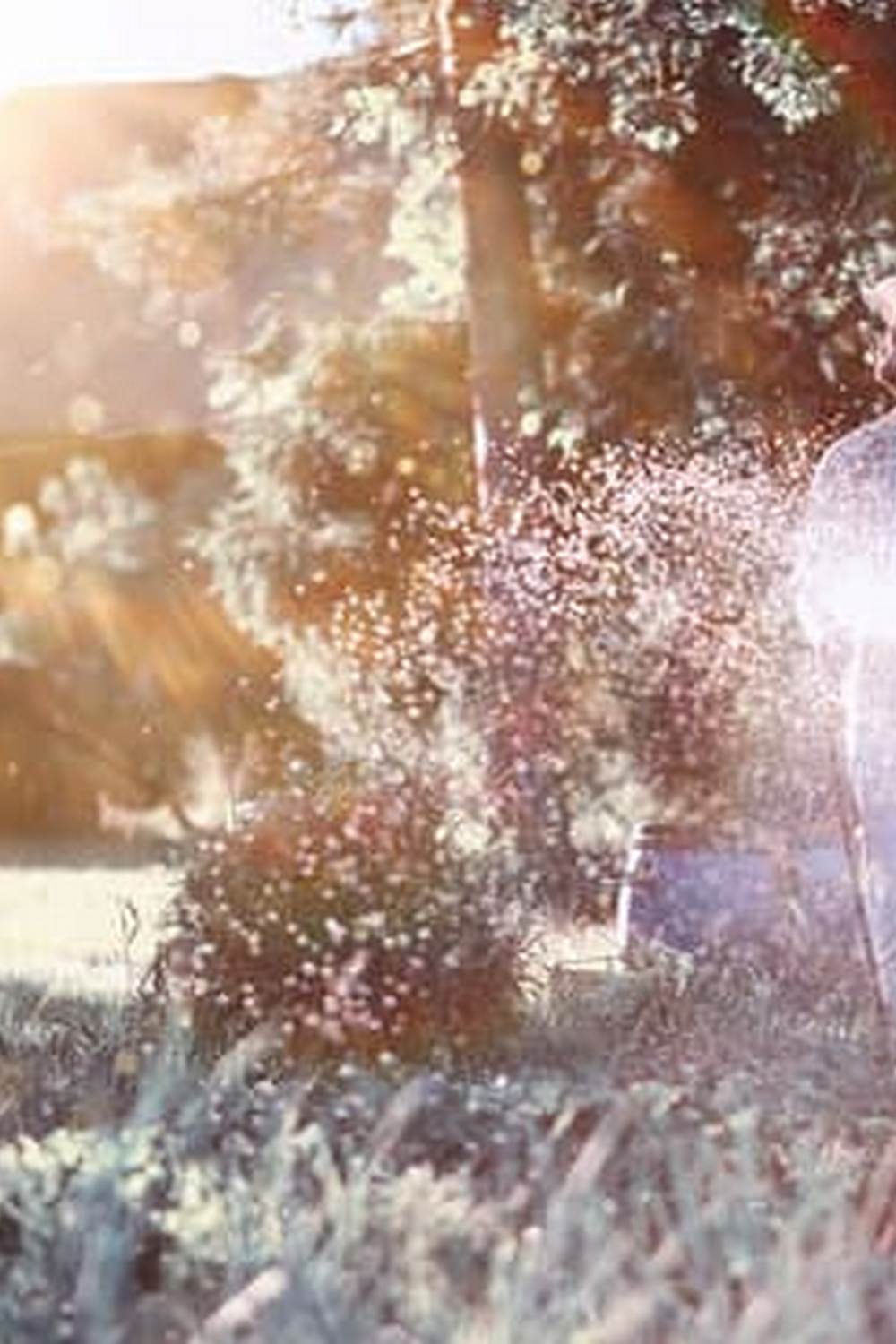 Better Homes and Gardens Children's Vegetable Garden - Fun and Educational Outdoor Activity for Kids