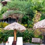 improving soil moisture retention and suppressing weeds