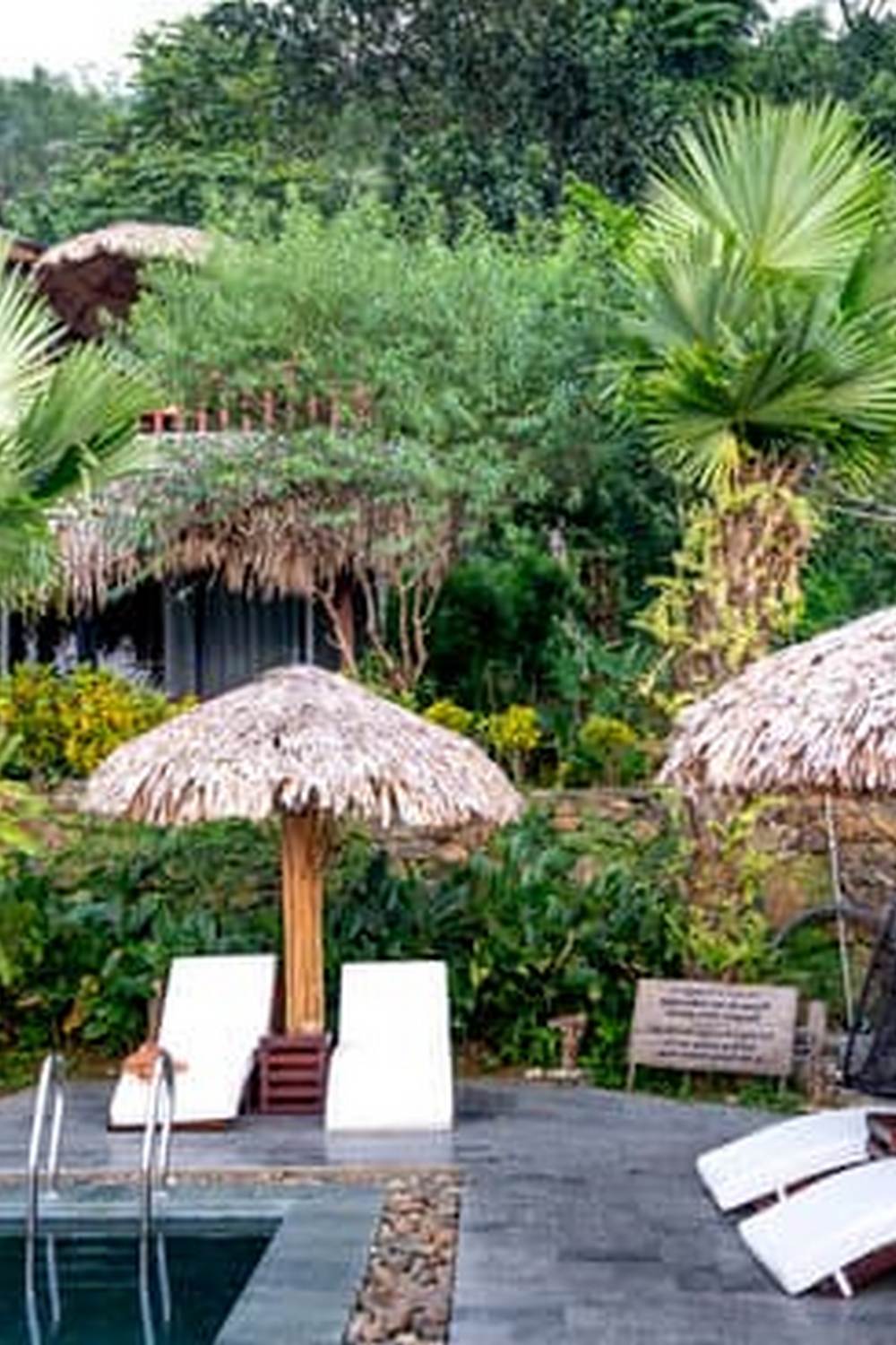 improving soil moisture retention and suppressing weeds