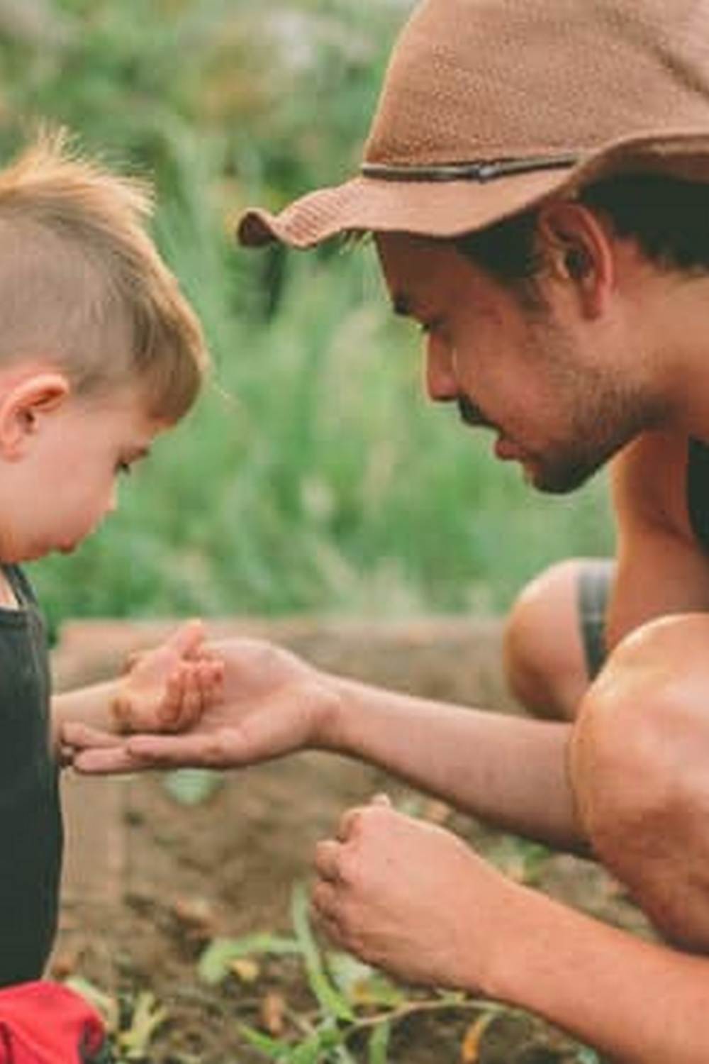 A beginner's guide to homegrown veggies