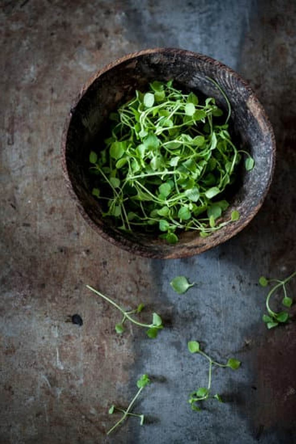 Types of Vegetables Grown in Innovative Gardening 1 a diverse range of fresh produce in urban spaces