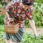 A Year-Round Guide to Growing Veggies in the Desert Southwest