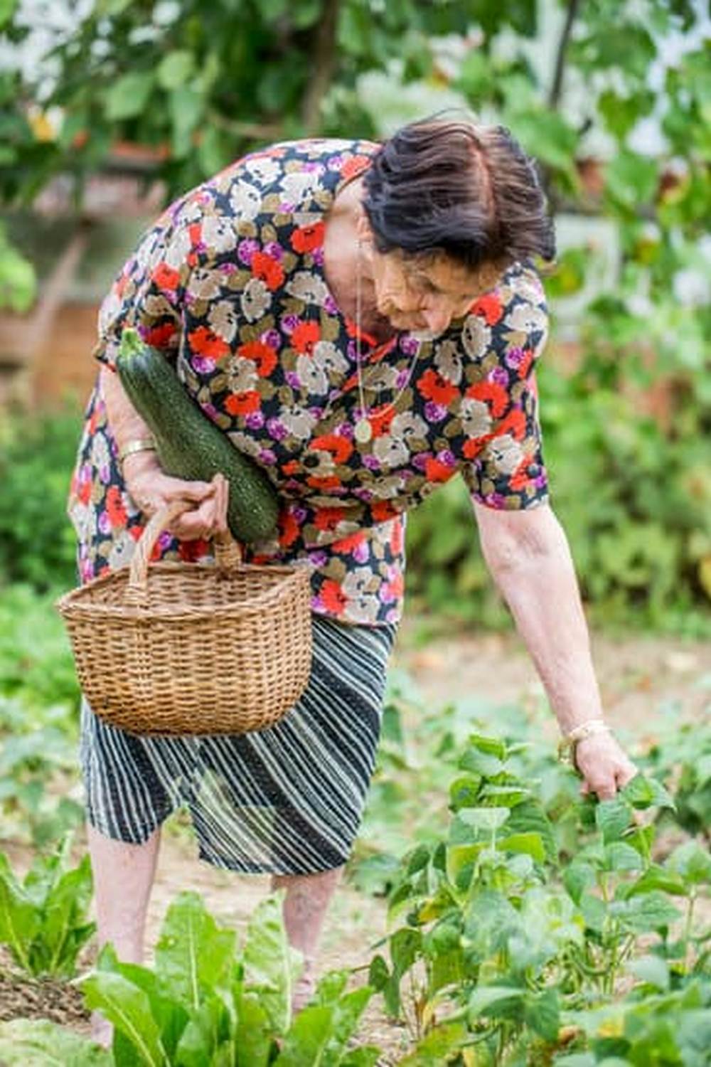 A Year-Round Guide to Growing Veggies in the Desert Southwest