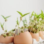 Choosing the Right Size Pots for Vegetable Container Gardening