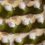 Urban farming made easy with our expert tips and tricks