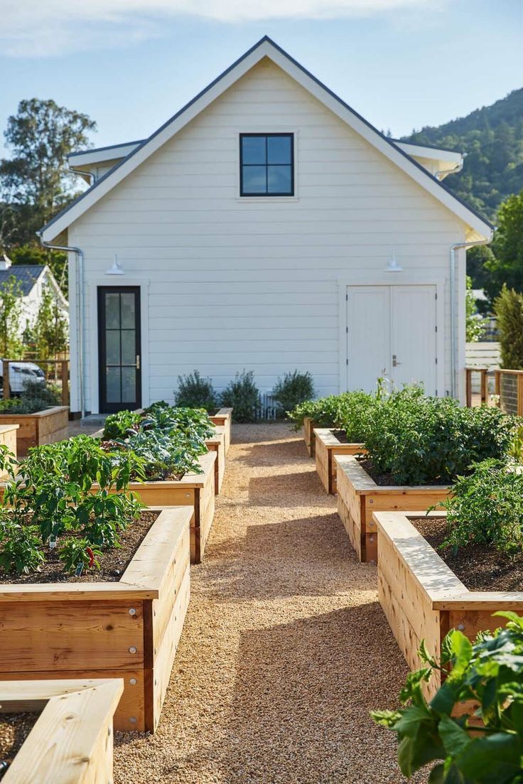 Optimize sunlight, maximize space, promote healthy growth. #RaisedBedVegetableGardeningPlans
