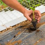 Accessible gardening tool for small flower vegetable gardens - try our free planning app today