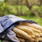 Tips for All-Season Growing