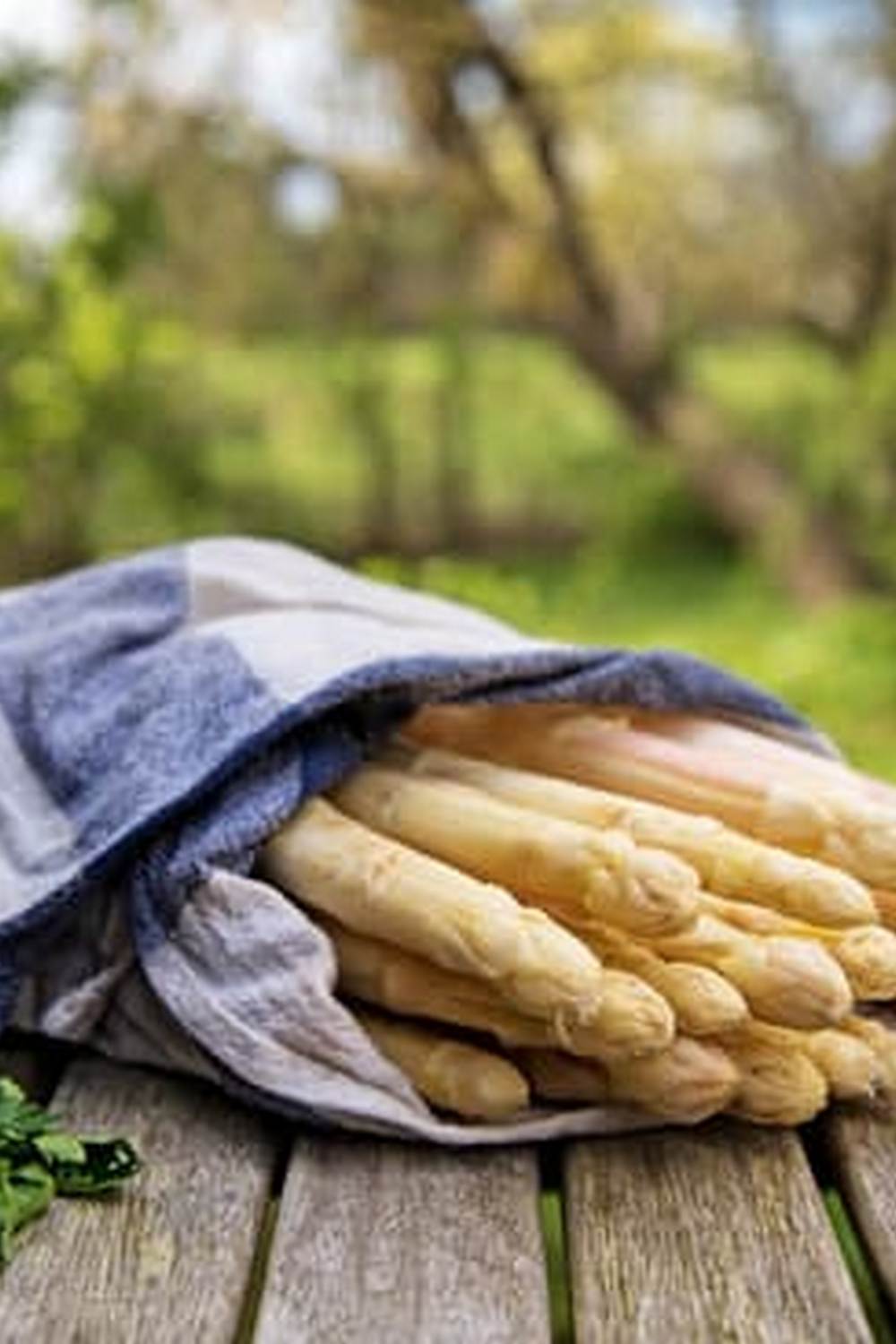 Tips for All-Season Growing