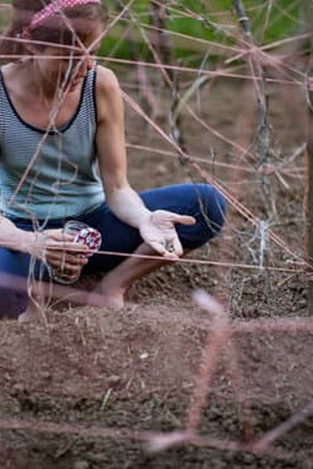 A Guide to Successful Container Gardening for a Variety of Vegetables