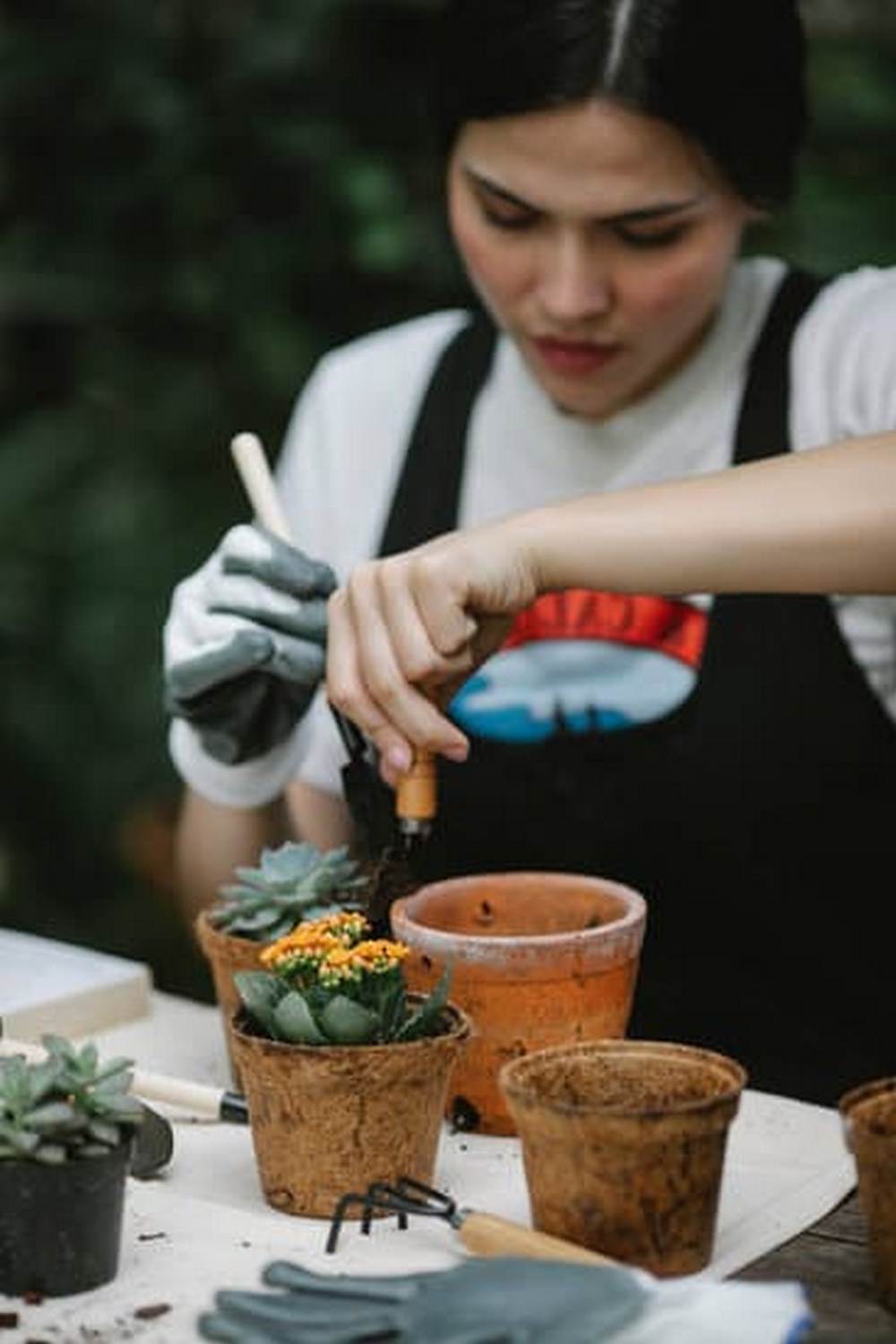 Common pests like ticks can be found in vegetable gardens - understanding them is key to prevention