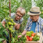 A sustainable and convenient gardening solution for urban spaces
