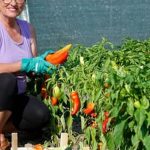 a celebration of nature's bounty and poetic inspiration