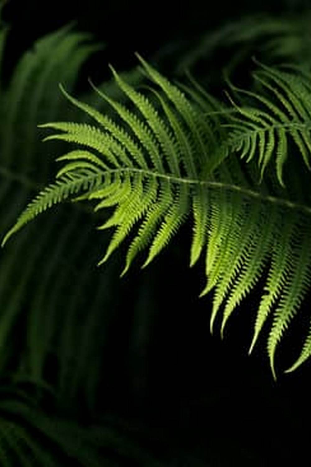 Cover of the Best Vegetable Gardening Books for Beginners featuring essential tips and techniques