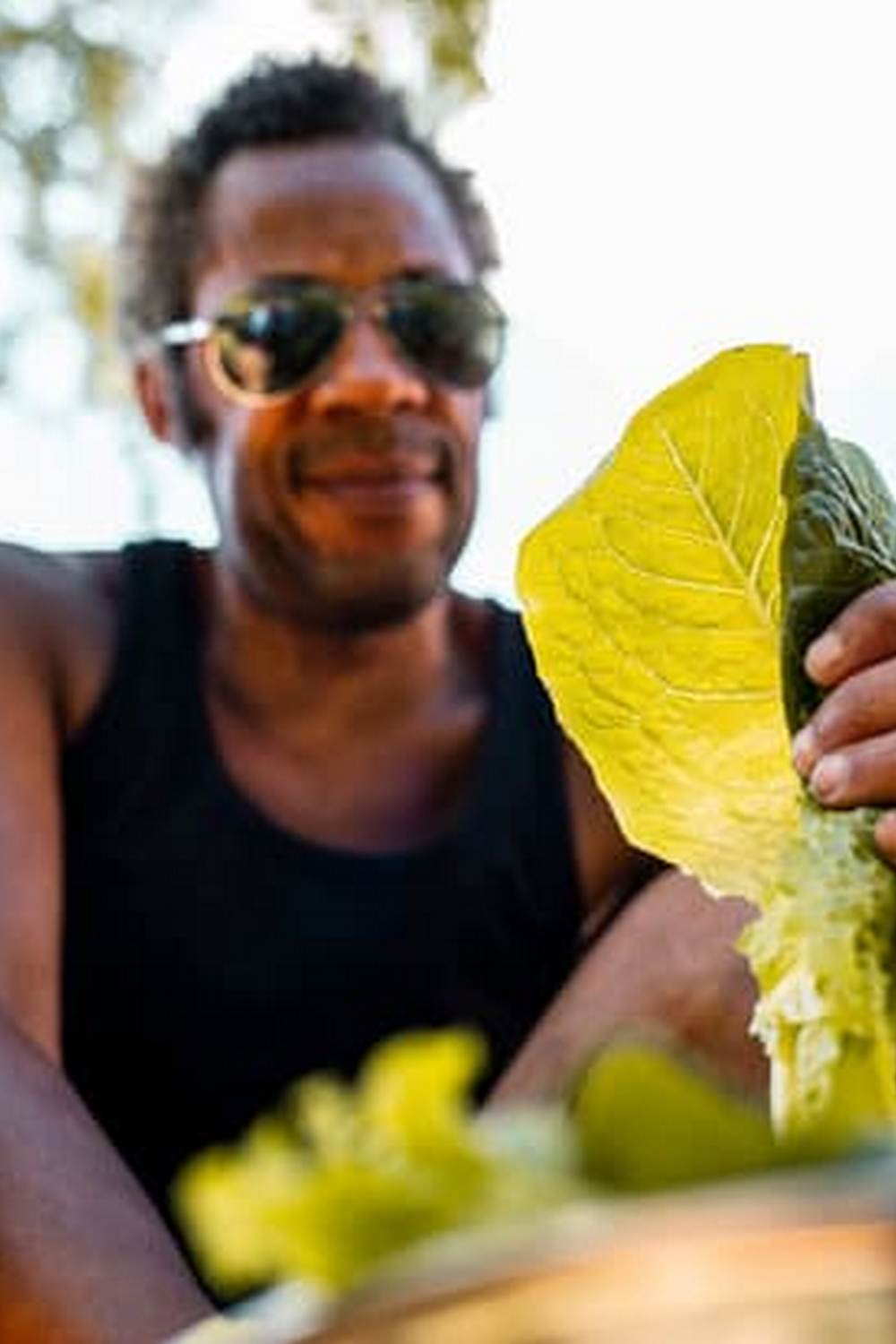 Beautiful hillside vegetable garden with terraced beds and stunning views of the landscape
