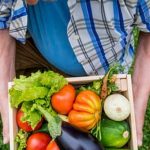 Fall Vegetable Gardening Zone 7