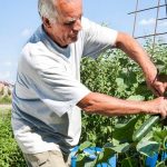 A Feast for the Senses