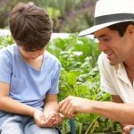 vegetable gardening in small yards