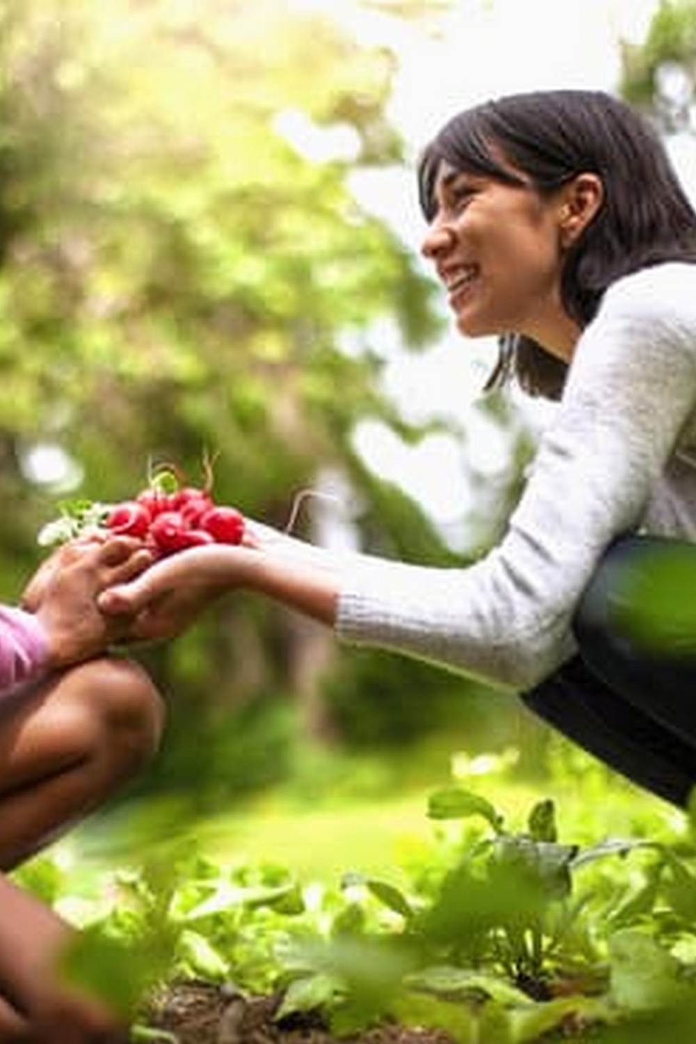 Unique gifts for chicken farmers and vegetable gardeners to enhance their passion and productivity